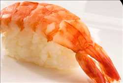 Shrimp