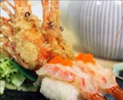 Jumbo Sweet Shrimp