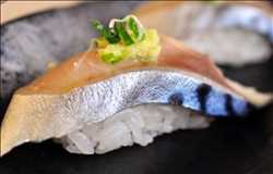 Mackerel