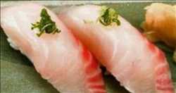 Red Snapper