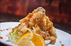 New Rocky Shrimp